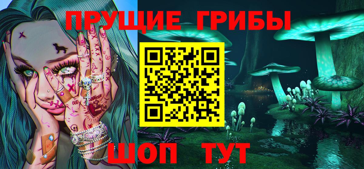 Александров  Галлюциногенные грибы Magic Shrooms  Вход с VPN 