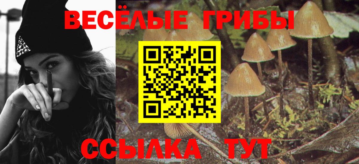 Псилоцибиновые грибы ЛСД Александров